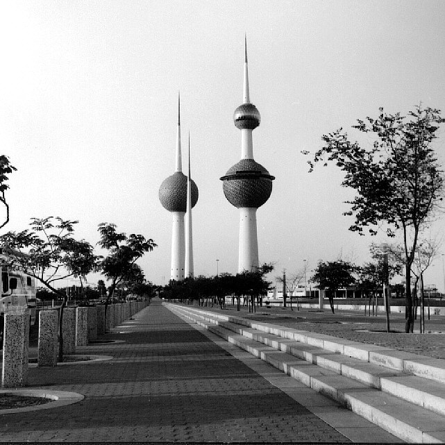 rflex19